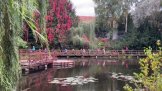 Arboretum Bílá Lhota
