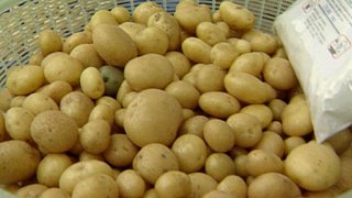 Příběh brambor