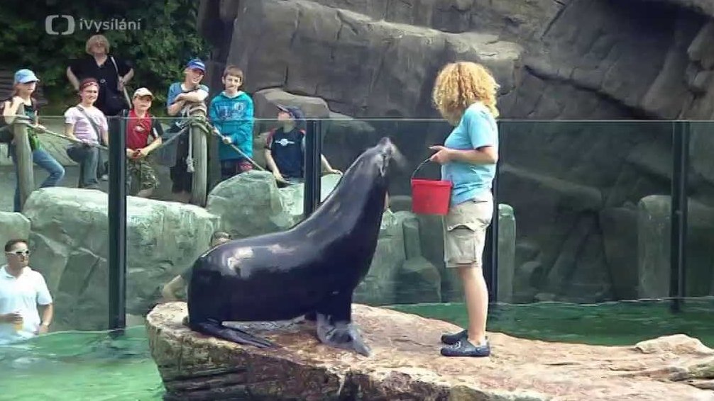 Pražská Zoo