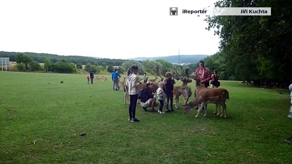 Děti a daňci