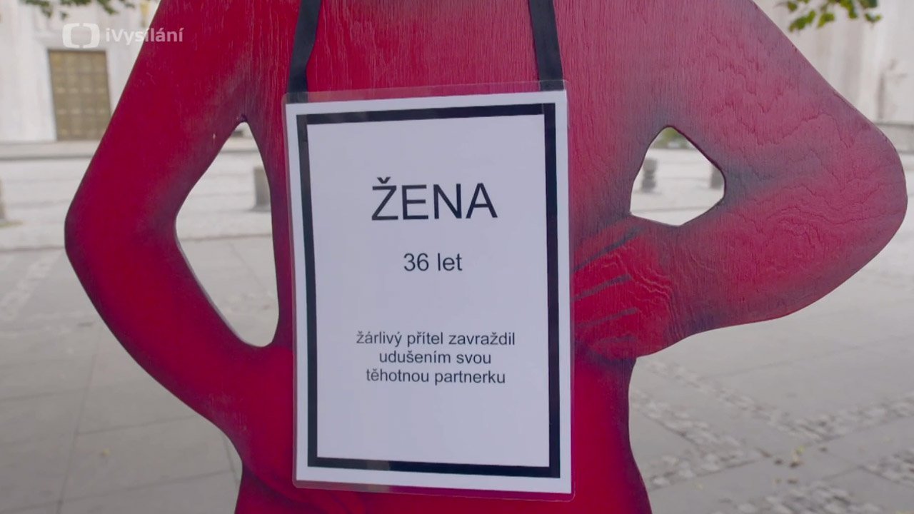 Vizitka neziskové organizace Rosa - centrum pro ženy
