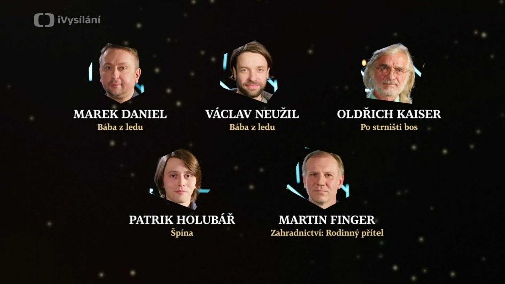 Mužský herecký výkon ve vedl. roli
