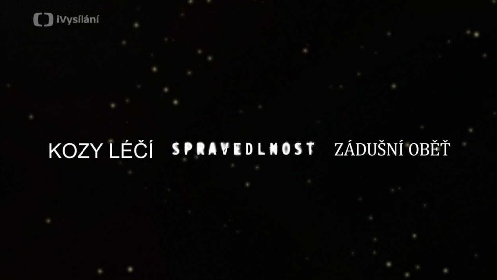 Televizní film nebo minisérie