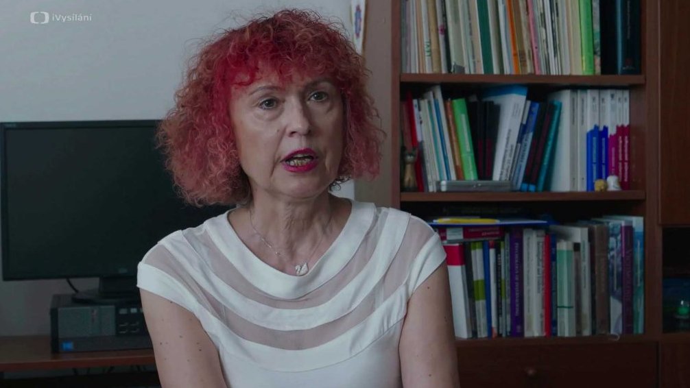 Ludmila Čírtková – O domácím násilí