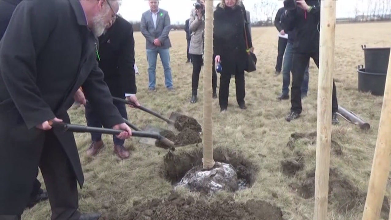 Strom dobré vůle