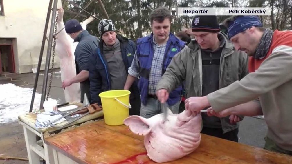 Zabíjačka