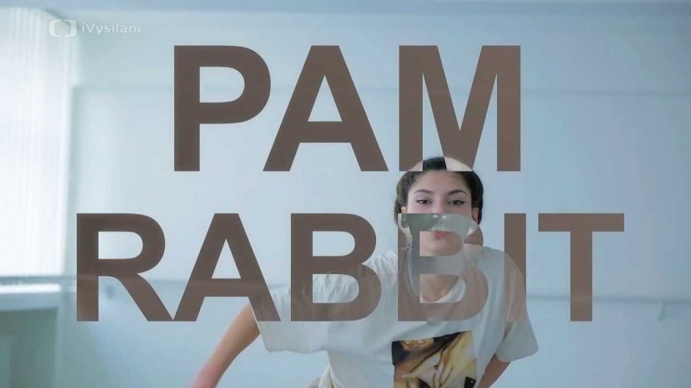Pam Rabbit