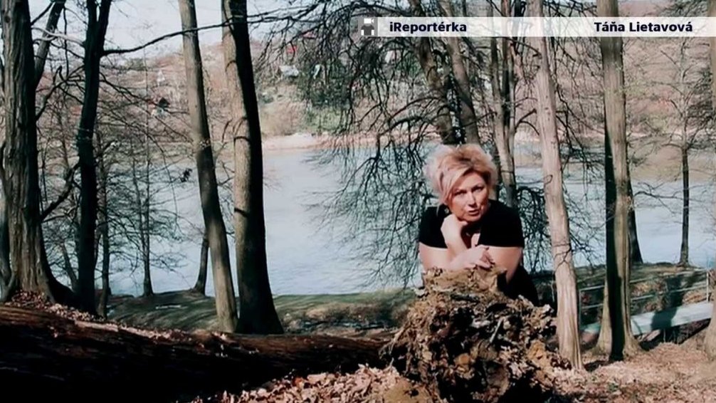 Sběr bylinek