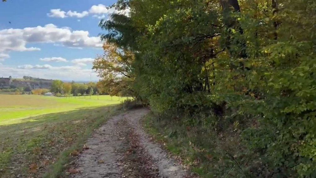 Výlet na Bradlo nad Novou Hradečnou