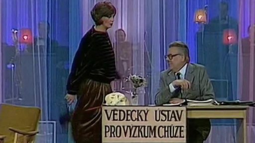 Vědecký ústav pro výzkum chůze
