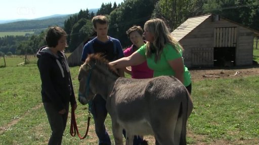 Videopříběh – Jak vycvičit osla 1