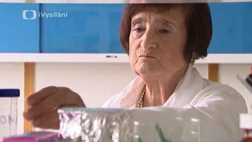 Blanka Říhová