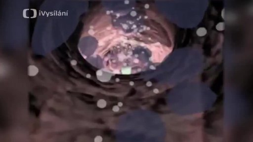 Výzkum v oblasti imunoterapie