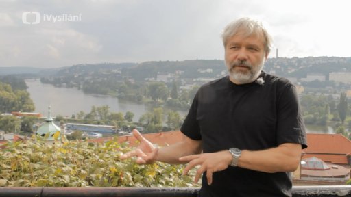 Jak jsou vodníci organizovaní