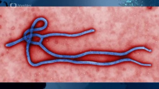 Ebola ve světě
