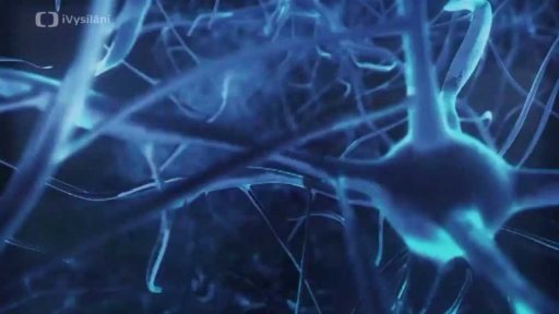 Medailonky laureátů Neuron 2015