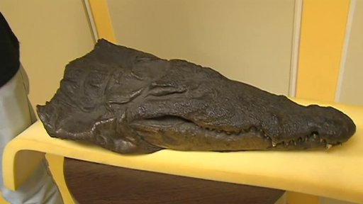 Mumie na počítačové tomografii