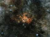 Část souhvězdí Štíra (foto: NASA)