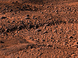 Povrch Marsu zachycený sondou Phoenix (foto: NASA)
