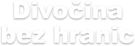 Divočina bez hranic