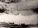 357.jpg