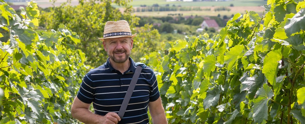 Krajinou vína po Slovensku