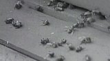 Hmyzolapka na ochranu včel (1957)