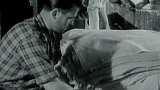 Papírna Velké Losiny (1958)