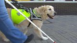 Nevidomí s vodicími psy dnes cvičili v Teplicích