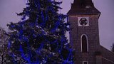 Na Šumavě se rozsvítil nejvyšší rostoucí vánoční strom světa