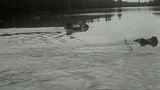 Rozvodněný Dunaj (1957)