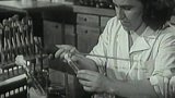 Čištění vody (1953)