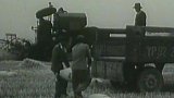 První žně v Nitranském kraji (1956)