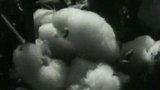 Bavlna z Kazachstánu (1961)