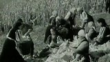 Úspěchy rumunských zemědělců (1963)