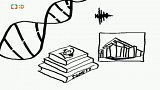 Nápověda: Kolik se vejde dat do DNA?