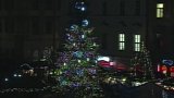 Vánoční strom v Brně