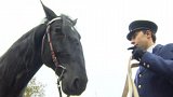 Pardubická jízdní policie má zase čtvrtého koně