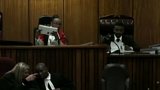 Soud s Pistoriusem pokračuje