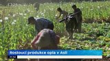 Rostoucí produkce opia v Asii
