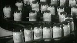 Výroba konzerv hotových pokrmů (1954)