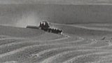 Úroda pšenice ve státě Washington (1946)