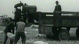 První sklizeň v Nitranském kraji (1956)