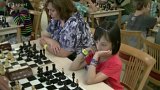Šachy v regionech