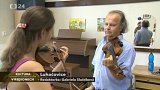 Letní houslová akademie Václava Hudečka v Luhačovicích