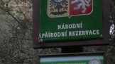 Pučínské skály