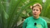 Botanická zahrada