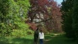 Arboretum