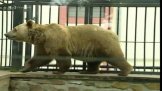 ZOO Ohrada