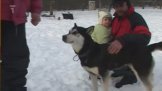 Musher